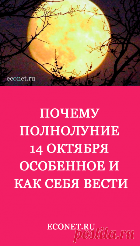 Почему полнолуние 14 октября особенное и как себя вести

В эту ночь, с воскресенья на понедельник, жителей Земли ожидает очередная смена лунной фазы. Полнолуние в октябре 2019 наступит 14-го числа в 00:08 по киевскому времени и совпадает с праздником Покрова. По словам астрологов, это считается хорошим знаком.