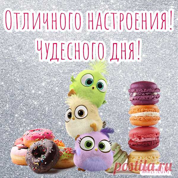 Отличного настроения! Хорошего дня! Открытки, картинки и пожелания своими словами, в прозе! Дорогие друзья! Сегодня такой замечательный день... | Страница 3