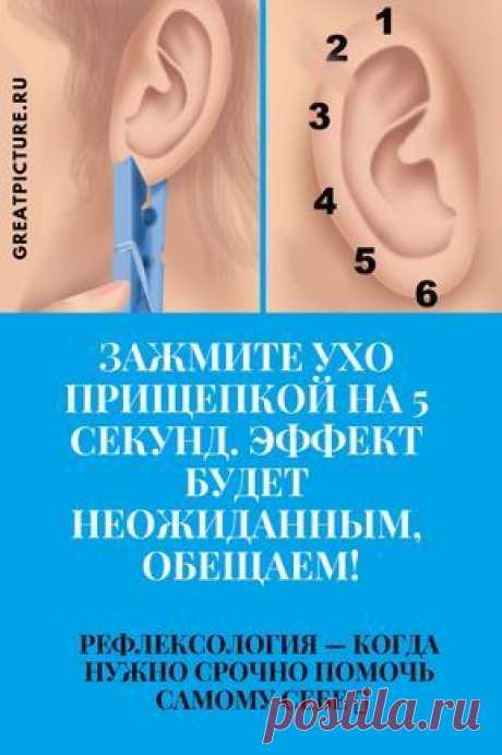 Зажмите ухо прищепкой на 5 секунд. Эффект будет неожиданным, обещаем! Рефлексология — когда нужно срочно помочь самому себе Зажмите ухо прищепкой на 5 секунд. Эффект будет неожиданным, обещаем!👍Зажмите ухо прищепкой на 5 секунд. Эффект будет неожиданным, обещаем!💆‍♀ #здоровье #красота #помощь #самоеинтересное #полезныесоветы #советы