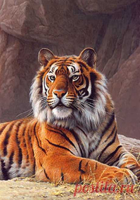 27 реалистичных картин животных от английского художника-иллюстратора Эндрю Хатчинсона