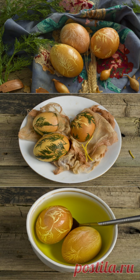 Как покрасить яйца к Пасхе с помощью куркумы, луковой шелухи, марли и укропа.