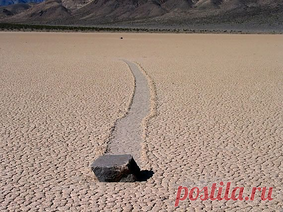 Ходячие камни. Словно живые, движутся: валуны по; 
илистому дну пересыхающего озера, 
причем происходит это в Национальном парке Долина смерти 
на пустынном юго-западе США; Как объяснить 
такое загадочное явление?