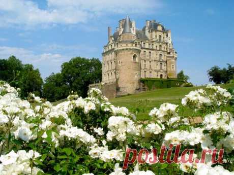 Лучшие замки Луары

Замок Бриссак (Château de Brissac)
Маршал де Бриссак, хорошо известный читателям «Трех мушкетеров», восстановил этот замок после сильного разрушения в 1614 году. Это самый высокий замок в стране, высота которого составляет 52 метра.

Здесь в августе 1620 года состоялось примирение Людовика XIII и его матери Марии Медичи, которая подняла войска против своего сына.

В замке насчитывается более двухсот комнат. Все они богато декорированы старинной мебелью,...