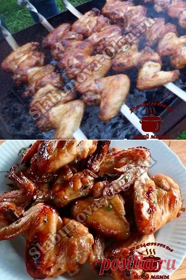 Куриный шашлык из крыльев с луком. Рецепт. Фото