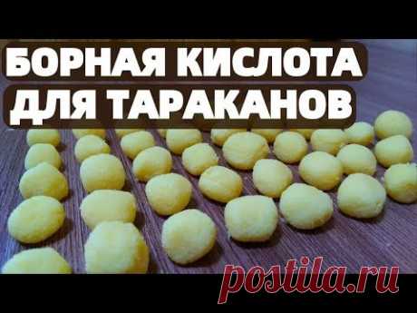 Борная кислота с яйцом от Тараканов как приготовить ? СОВЕТ МОЕЙ БАБУШКИ !!!