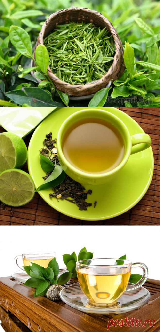 Польза заварки. Чай Лунцзин заварка. Зеленый чай. Чашка зеленого чая. Зеленый чай для похудения.