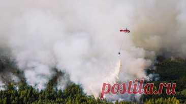 Дым от лесных пожаров в Канаде достиг нескольких штатов США