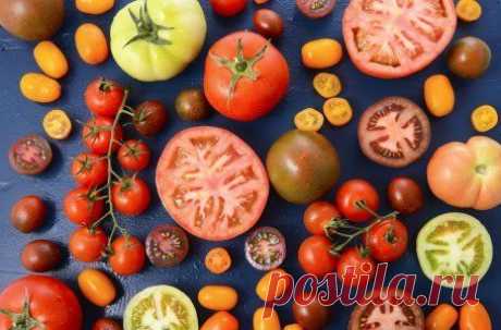 Лучшие сорта помидоров для засолки и консервирования | На грядке (Огород.ru)