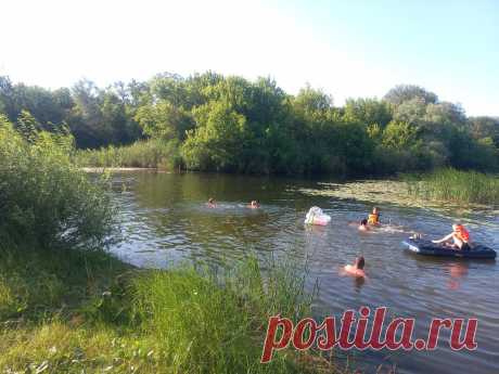 Река Бузулук в Волгоградской области -одна из самых чистых рек Европейской части России.  В Бузулуке водится такая рыба как: карп, белый амур, толстолобик, щука, линь, окунь, плотва, карась...
 В реке Бузулук водятся такие виды рыб как карп и белый амур.
 Проехать к реке можно на машине, автобусе или на электричке до станции "Бузулук", а затем на маршрутке до с. Александровка.
 
  Если вы хотите порыбачить, то вам нужно взять с собой удочку или спиннинг, но лучше удочку, так как рыба ловится н…