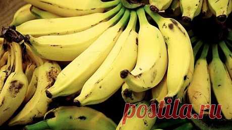 Аналитик предупредил о возможном исчезновении бананов с прилавков | Bixol.Ru