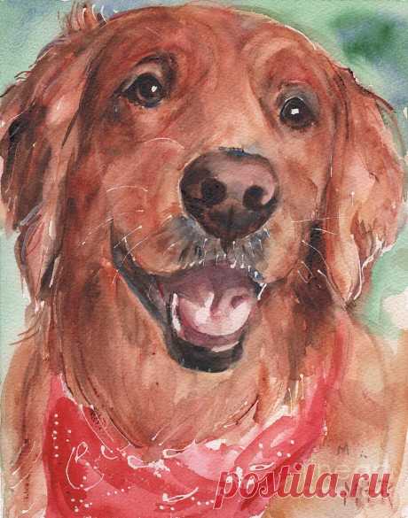 Golden Retriever Dog in watercolori by Maria Reichert Golden Retriever Dog in watercolori Painting by Maria Reichert