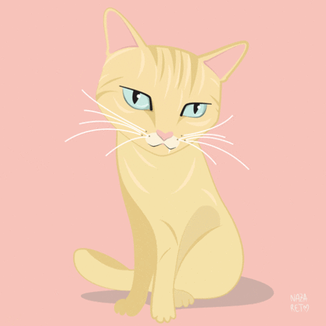 Cat Kitten GIF by Nazaret Escobedo - Find & Share on GIPHY Illustrator, animator and graphic designer based in Seville (Spain). Love animals, plants and Jessica Fletcher.