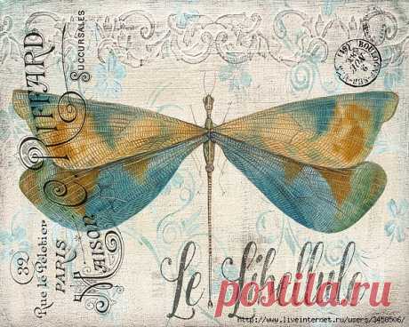 Коллажи-принты стрекозы, бабочки для декупажа