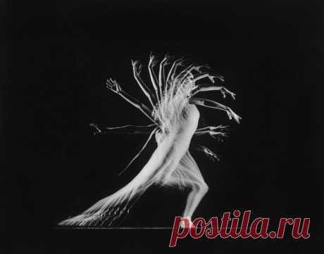 Stroboscopic images of ballet dancers / Удивительное искусство