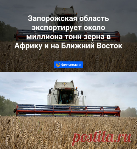 29-3-24--РФ-Запорожская область экспортирует около миллиона тонн зерна в Африку и на Ближний Восток - Финансы Mail.ru