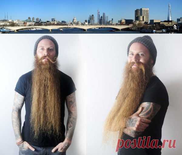 Самая длинная борода в Англии | Англофил
У 29-летнего Майкла Легга, участвовавшего в 12 состязаниях и победившего в 10 из них, самая длинная борода в Великобритании, достигающая двух футов (60,96 см).