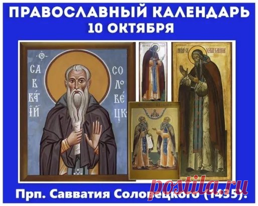 10 октября — день, когда даже мёд кажется особенно вкусным. Желаем вам здоровья, уюта, гармонии и немного пчелиной мудрости — трудиться в тишине, но с великой пользой. Открытки на День Савватия Пчельника.