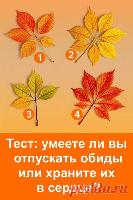 Иногда мы слишком долго держим в себе прошлые обиды и не замечаем, как это отравляет жизнь. А ведь прощение — это не только примирение с другим человеком, но и подарок самому себе. Этот тест поможет понять, насколько легко тебе отпускать обиды и находить в сердце место для новых радостных эмоций. Важно помнить: когда мы отпускаем прошлое, мы открываемся будущему и становимся по-настоящему свободными.