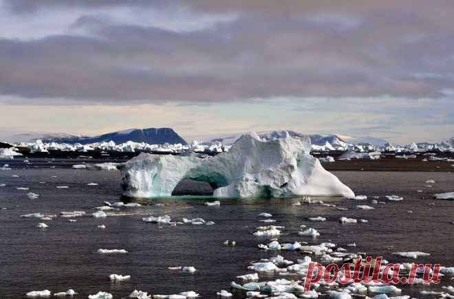 Удивительные айсберги • НОВОСТИ В ФОТОГРАФИЯХ