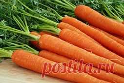 Морковь на зиму (рецепты легких заготовок)