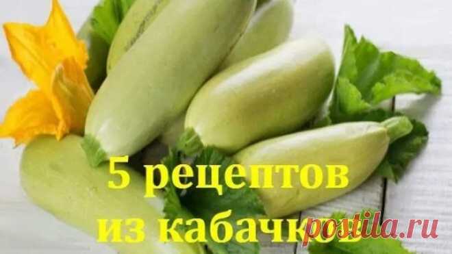 5 РЕЦЕПТОВ, после которых вы полюбите КАБАЧКИ