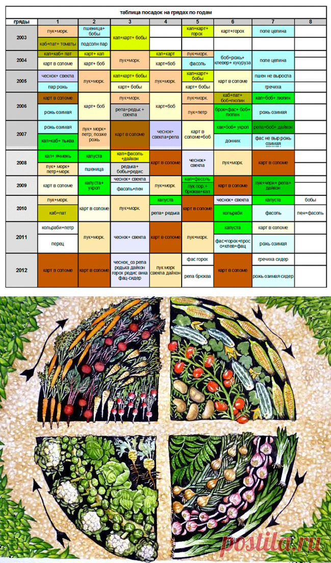 Соседство грядок на огороде. Схема севооборота посадки культур. Севооборот в огороде таблица планирование посадки овощей. Таблица высаживания растений. Совместимые посадки на огороде.
