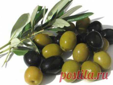 Чем полезны оливки и маслины.