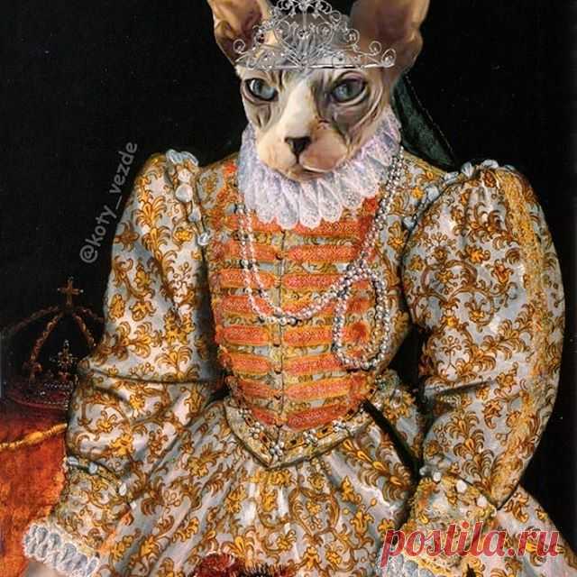 A selection of ceremonial portraits. 
For:
@shoogabiscuit
@veilchen_234
@stephenschein
@agneslindkvist
@audemous

You can get a portrait with your pet for $ 5
.
My merch - @kotomerch
.
#кот #котик #коты #cat #cats #catsofinstagram #catsagram  #Photoshop #meme #memes #catmeme #funnycats #humor #юмор #humor #cats_of_instagram #catsofworld #catlover 
#animal #animals #猫 #lol
#art #pictures #картины #искусство #portraits #portrait