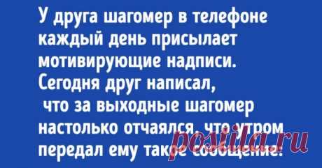 18 жизненных историй, которые прекрасно поймут те, кто уже начал худеть к лету . Милая Я