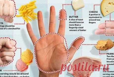 Объясняем на пальцах, сколько еды вам нужно каждый день!
