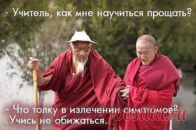 Учитель, как мне научиться прощать?
-Что толку в излечении симптомов? Учитесь не обижаться.