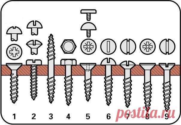 Разновидности шурупов и их применение. - Мужской журнал JK Men's Шурупы для дерева -- Головка: утапливаемая полукруглая -- Тип головки: PZ/PH/Torx - - Используется для: общих работ по дереву  
