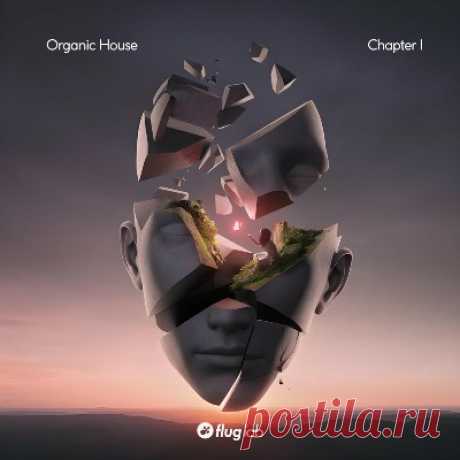 VA – Organic House – Chapter I