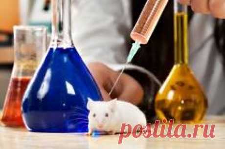 24 апреля отмечается "Всемирный день защиты лабораторных животных"