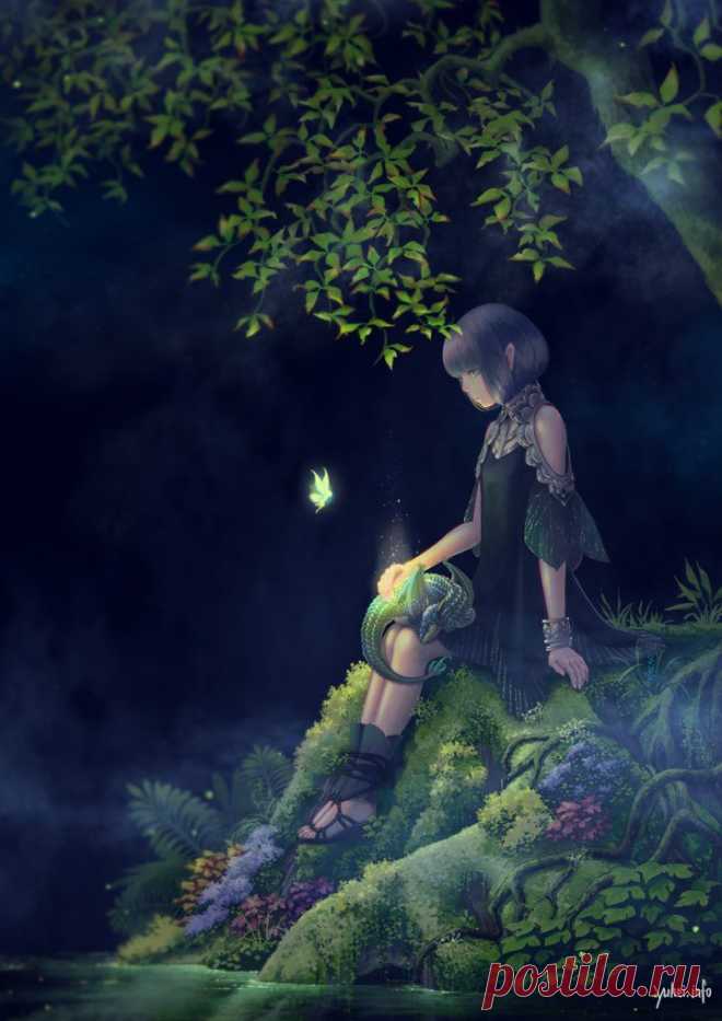 anime girl with dragon and fairy | Animarts