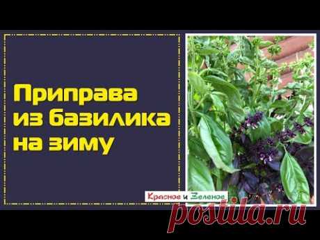 Приправа из свежего базилика на зиму. Вкусовая бомба!