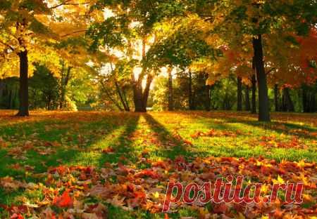 Inspiring autumn - Forests & Nature Background Wallpapers on Desktop Nexus (Image 1189393)