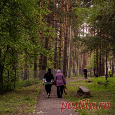 👪 Место, где можно не просто отдохнуть, но и оздоровиться душой
💁 Приветливый персонал 🌲 Живописная природа 💖 Приятные цены
🌍 Владимирская обл., Собинский район, с. Березники 📞 8(495)367-30-28