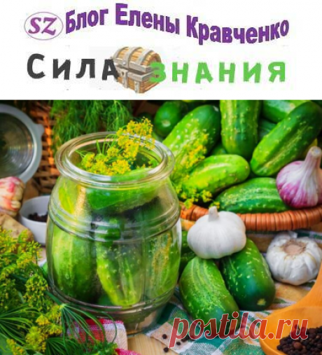 Огурцы на зиму в 1.5 литровых банках (хрустящие и вкусные рецепты)