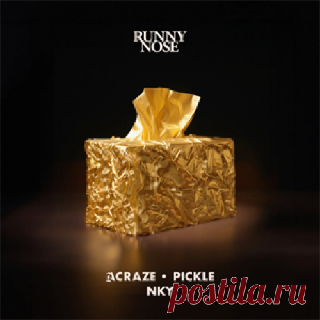 ACRAZE, Pickle, NKY - Runny Nose (Extended Mix) | 4DJsonline.com