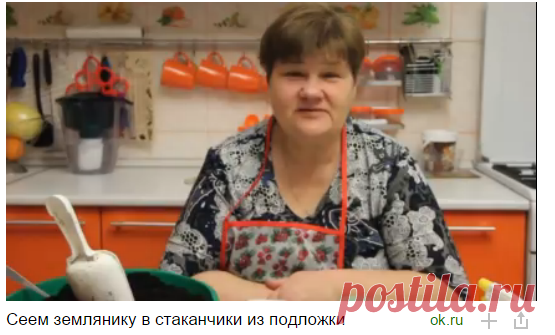 Сеем землянику в стаканчики из подложки — Яндекс.Видео