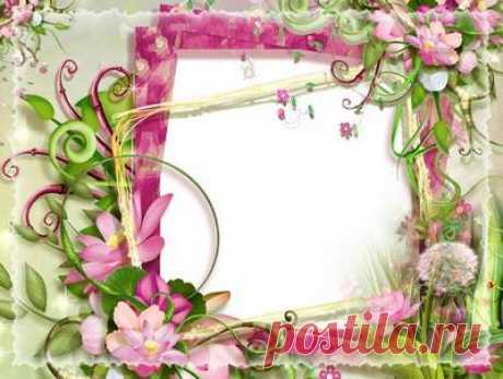Nature, summer, photo frame. Transparent PNG Frame, PSD Layered Photo frame template, Download.