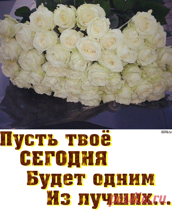 Бел розы для моей черной сестры. Открытки с белыми розами. Букет белых роз вечер. Букет белых роз для тебя. Белые розы подруге.