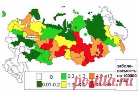 17 продуктов, способных убить человека