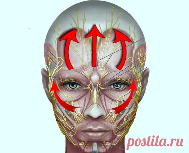 Гимнастика для лица: 10 минут в день – минус 10 лет