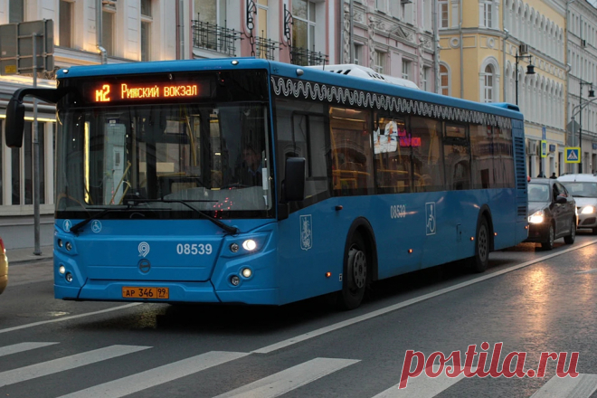 В Москве с 20 ноября 2021 меняют номера автобусов и добавляют новые маршруты - KP.Ru