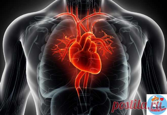 5 вредных для сердца привычек, сокращающих жизнь | Здоровье с удовольствием | Яндекс Дзен