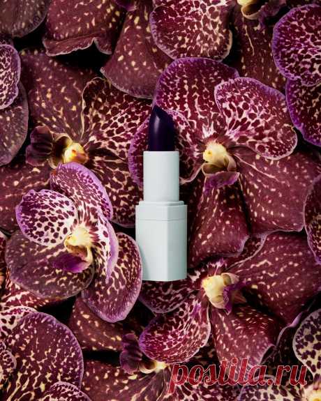 NARS Cosmetics в Instagram: «Wild Flower Lipstick is the perfect deep plum purple. @Erdem for NARS.» 73.8 тыс. отметок «Нравится», 248 комментариев — NARS Cosmetics (@narsissist) в Instagram: «Wild Flower Lipstick is the perfect deep plum purple. @Erdem for NARS.»