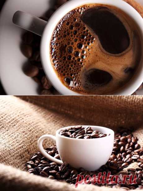 Как правильно выбрать кофе: тонкости и секреты - Среда обитания
Кофе обладает бодрящим и стимулирующим эффектом. Кофеин эффективно снимает усталость, придает силы и улучшает кровоснабжение мозга, активизирует процесс запоминания. Он помогает принимать быстрые решения и повышает работоспособность организма. Тонизирующее действие кофе также помогает  справиться со стрессом и побороть усталость, апатию и вялость.