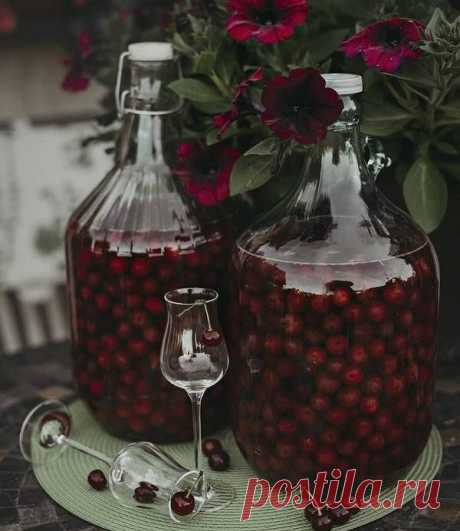 Наливка из вишни в домашних условиях: рецепты, как сделать с водкой